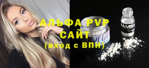 ECSTASY Вяземский